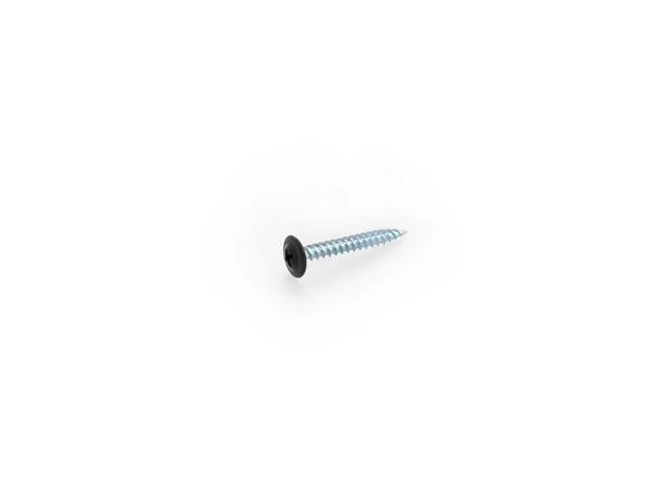 Montasjeskruer M 4,2x32 Sort (Spiss) 
