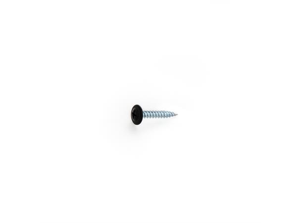 Montasjeskruer M 4,2x25 Sort (Spiss)