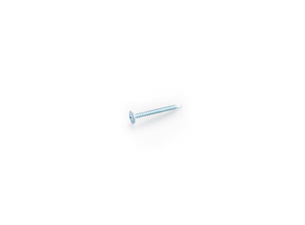 Montasjeskruer M2 4,2x32 Hvit (Bor)250
